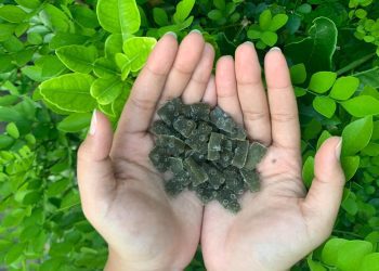 Gum-gum Hair Permen Vitamin Rambut Karya FTP UB